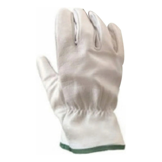 Guante Cabritilla Sin Forro Certificado  Pack De 50 Pares
